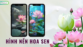 TOP 201+ Hình nền hoa sen ĐẸP NHẤT, chất lượng cao, 4K, miễn phí