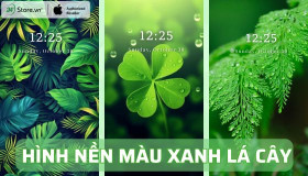 TOP 101+ Hình nền màu xanh lá cây ĐẸP, độc đáo cho điện thoại, máy tính