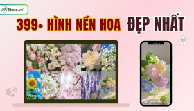 399+  Hình nền hoa ĐẸP NHẤT, rực rỡ, sắc nét, 4K, 8K