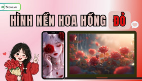 299+ Hình nền hoa hồng đỏ ĐẸP NHẤT, quyến rũ, độc đáo, Full HD