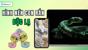 TOP 299+ Hình nền con rắn đẹp, đáng yêu, MIỄN PHÍ