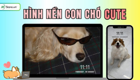 TOP 199+ Hình nền con chó DỄ THƯƠNG, cực đẹp, hài hước