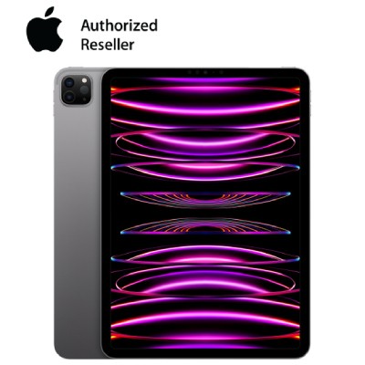 ipad pro m2 11 inch 2022 wifi xam