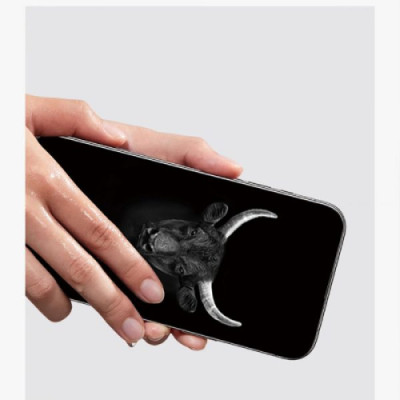 dan-cuong-luc-chong-nhin-trom-iphone-16-pro-max-mipow-kingbull-hd-premium-silk-1