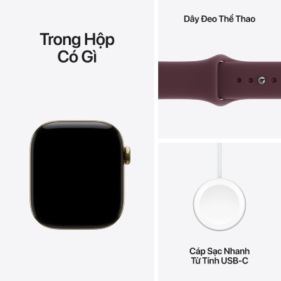 Apple Watch Series 12 42mm GPS + Cellular - Viền Titan, Dây Cao Su Size S/M 8