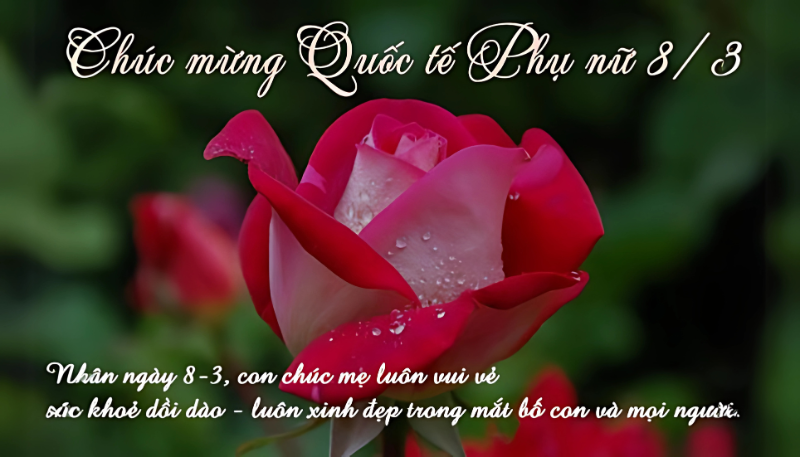 anh-8-3-cho-me