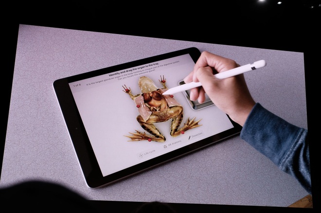 apple ra mat ipad 9 7 inch moi hinh anh 2