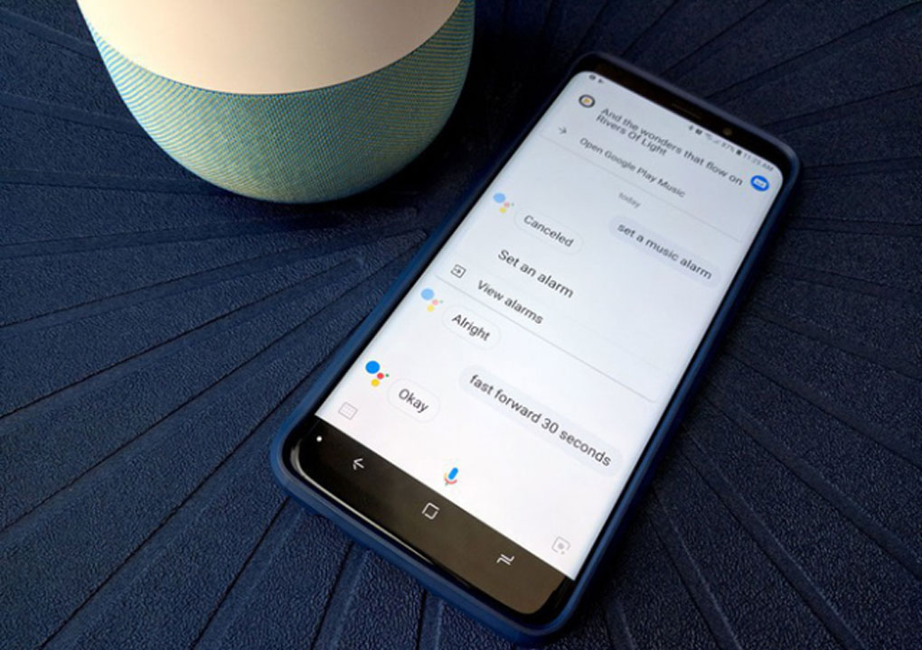 google Fuchsia