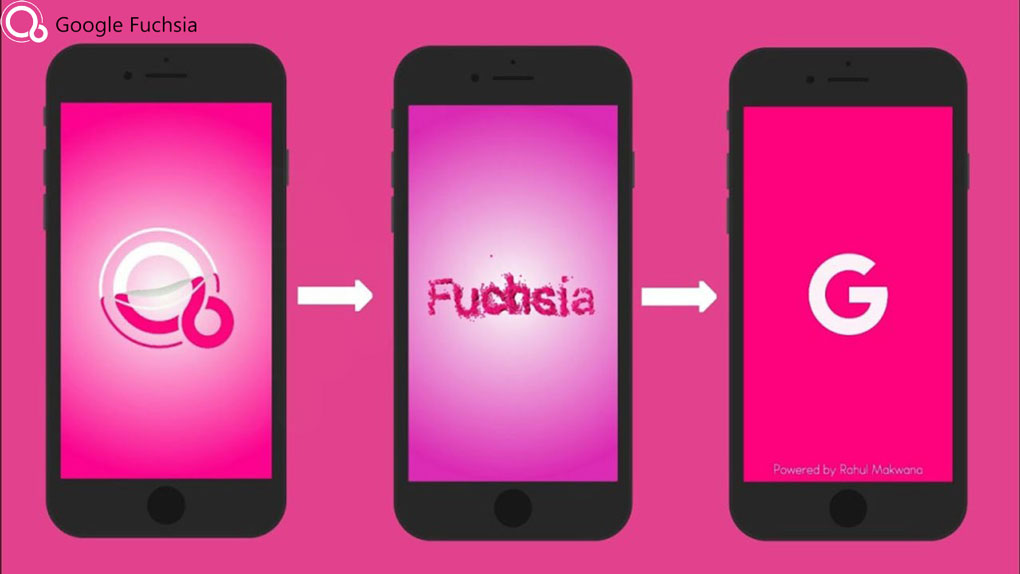 Fuchsia