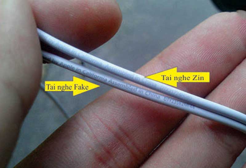 Chi tiết in trên dây