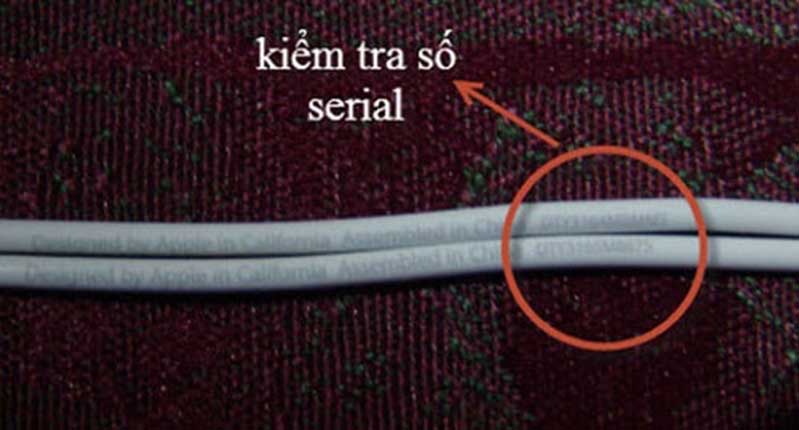 Kiểm tra số Serial