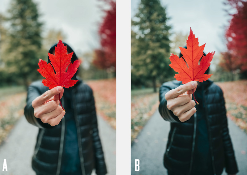 đọ hình ảnh chụp từ camera iphone 11 pro và canon 1dx mark ii