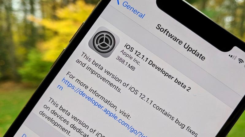 Hiện các tùy chọn bổ sung vẫn được Apple giữ kín