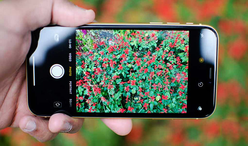 camera vô cùng xuất sắc của iphone xr