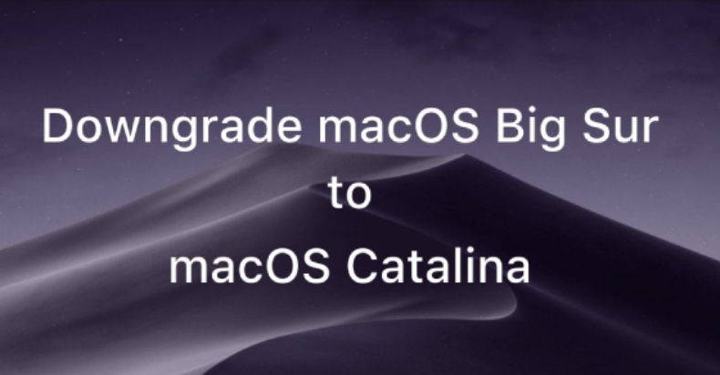 Hạ cấp macOS Big Sur Beta xuống macOS Catalina