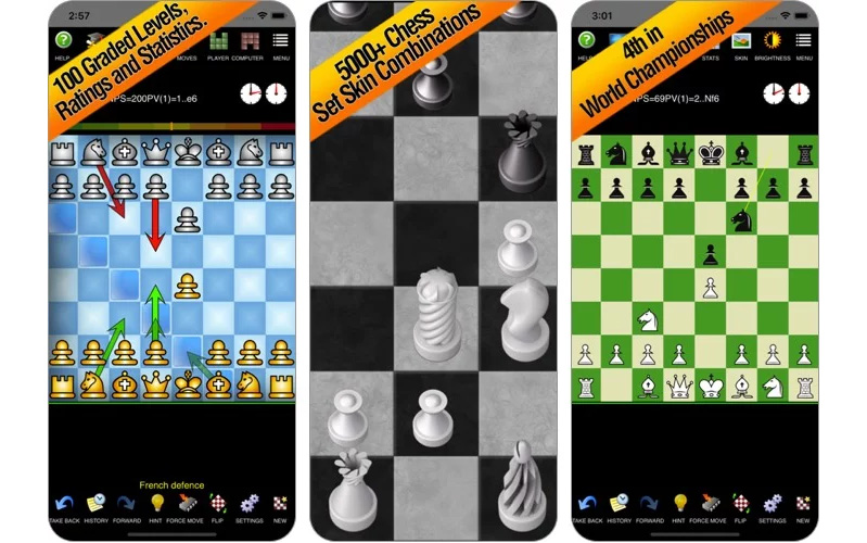 Chess Pro with Couch