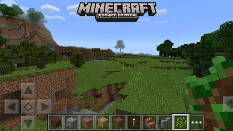 1. Minecraft: Pocket Edition