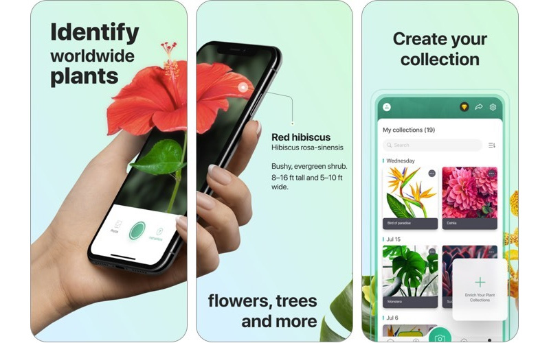 ứng dụng học tập tốt cho ios
