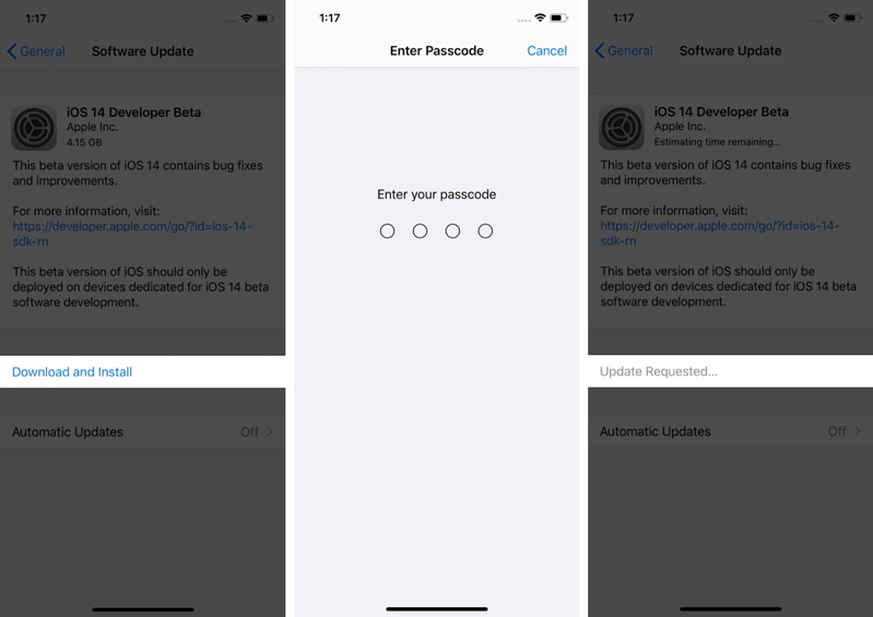 Cách cài đặt iOS 14 Beta 5 trên iPhone