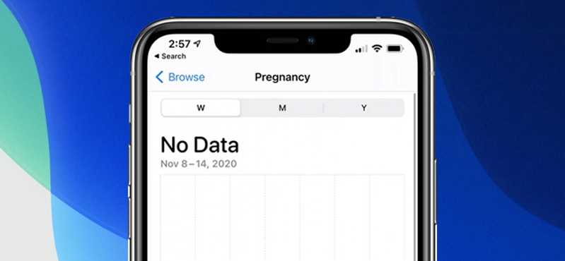ios 14.3 beta 1 