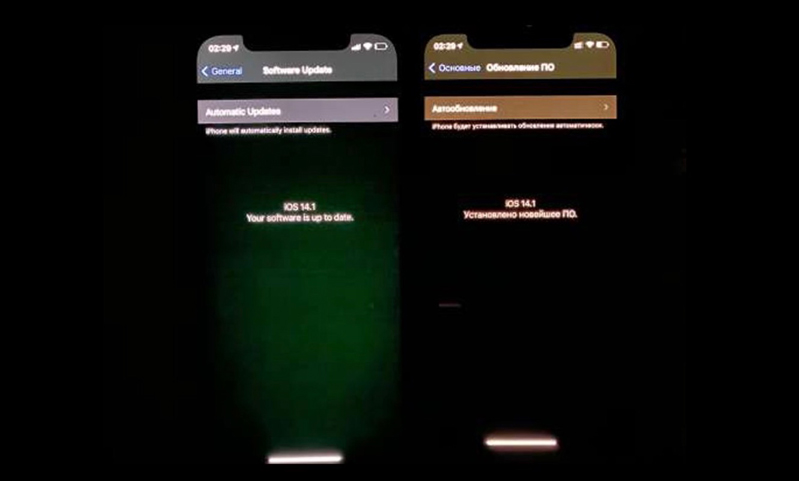Sự cố màn hình xanh hay xám được báo cáo trên iOS 14.1 và 14.2