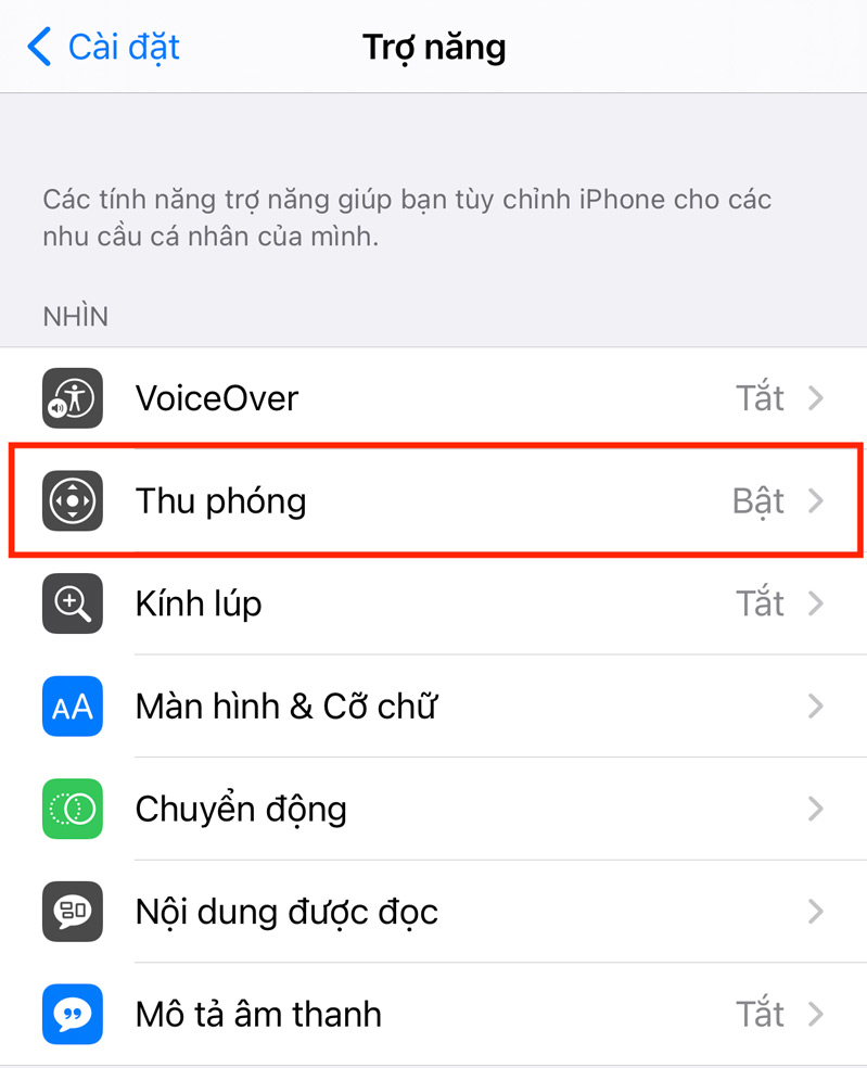 chọn trợ năng 
