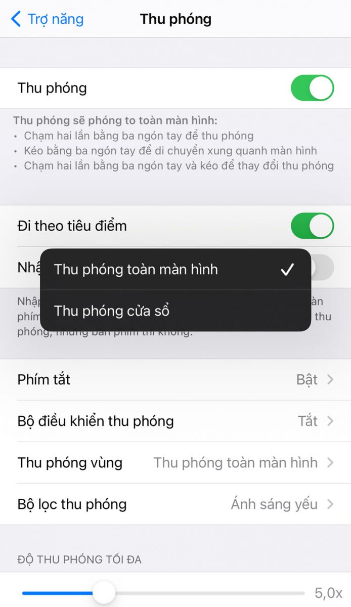 cách chọn thu phóng mở và tắt 