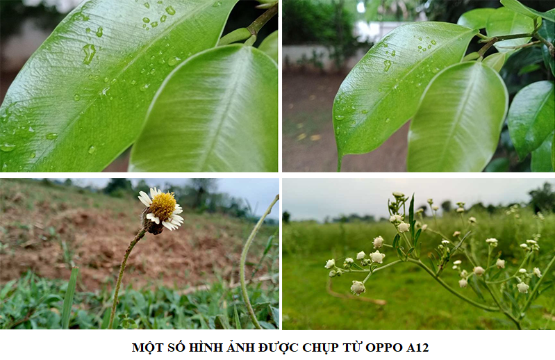 hình chụp từ oppo a12