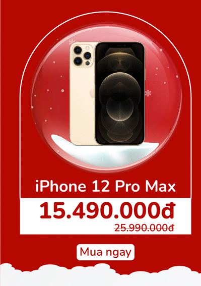iPhone 12 Pro Max cũ