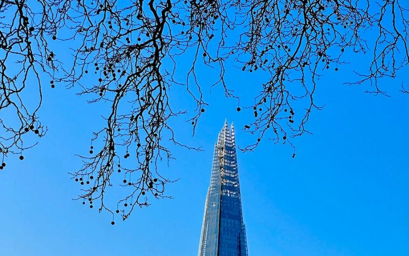 Zoom quang học 3x trên iPhone 14 Pro