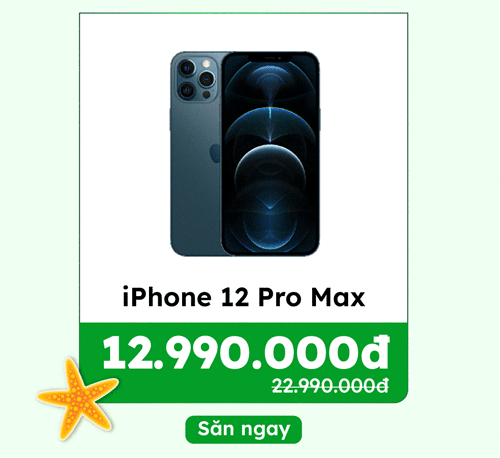 iPhone 12 Pro Max cũ