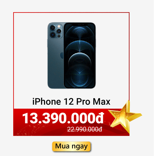 iPhone 12 Pro Max cũ