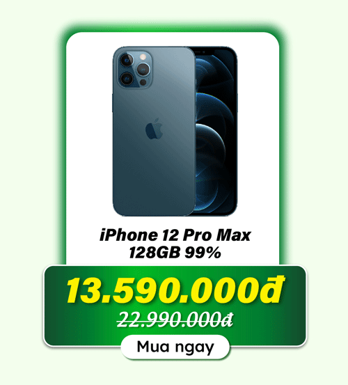 iPhone 12 Pro Max cũ
