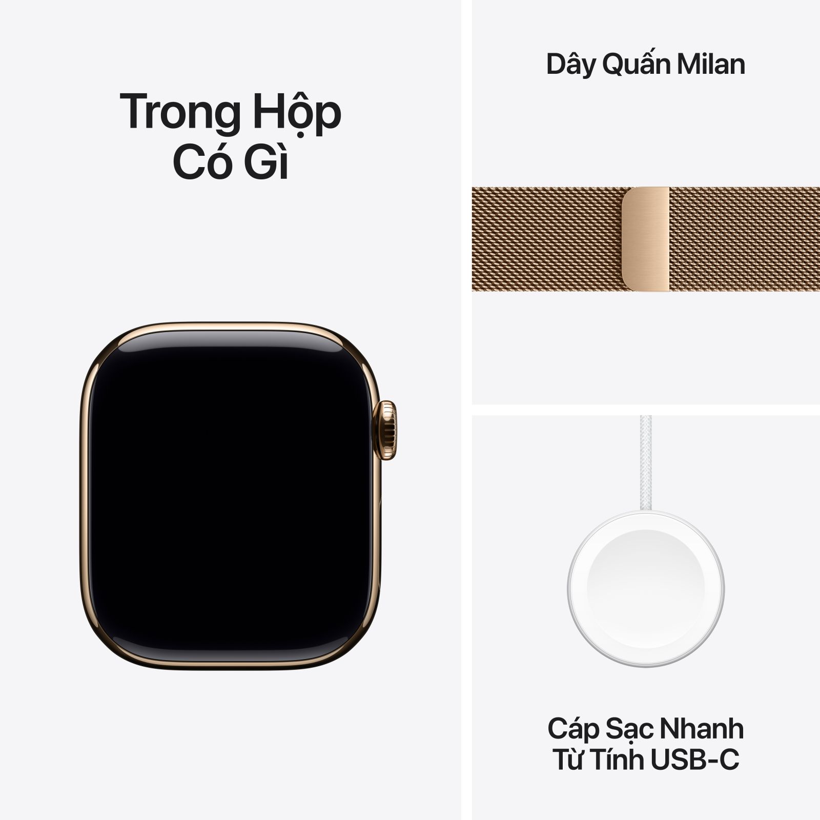 Vì sao nên đăng ký Apple Watch Series 10 42mm LTE ở 24hStore?