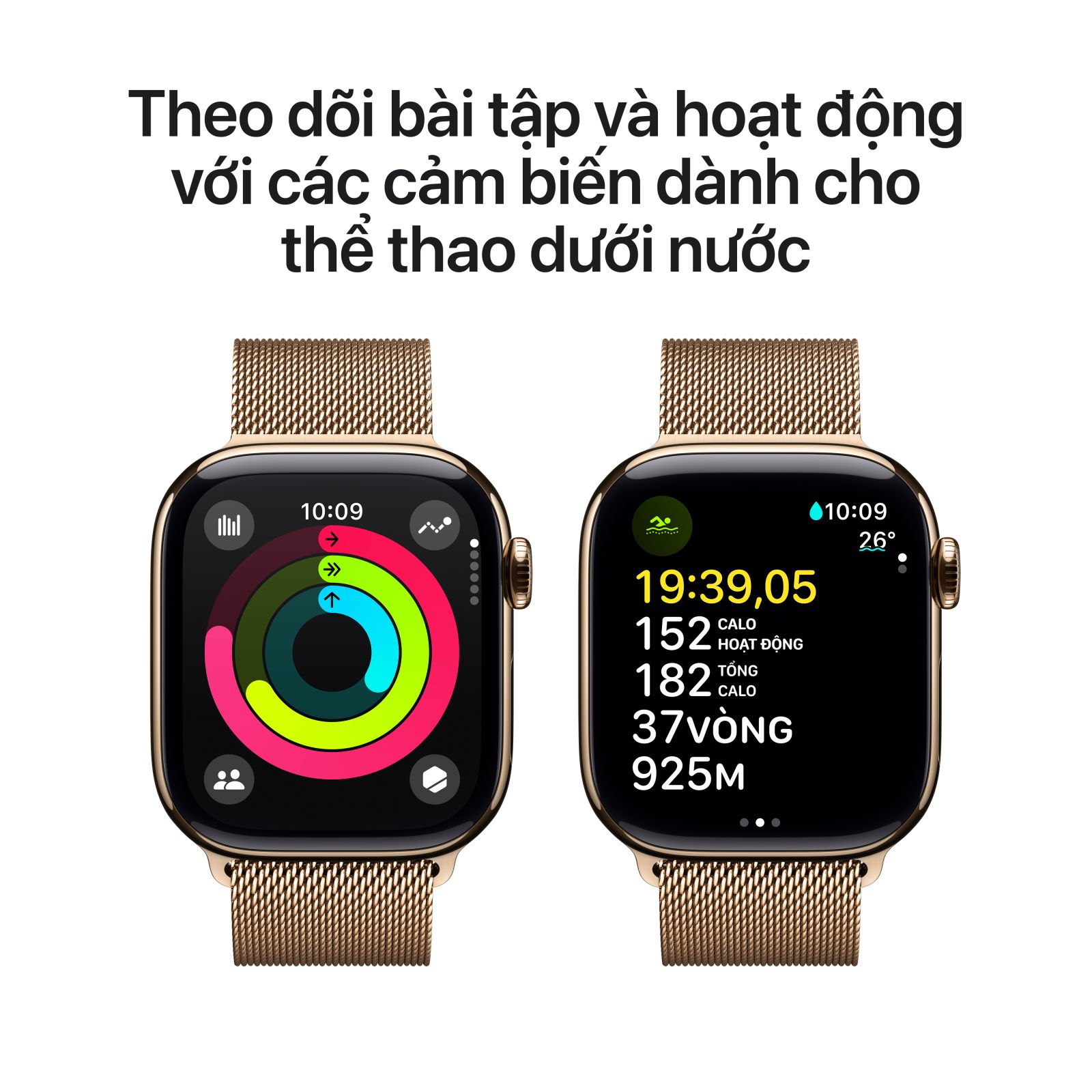 Tính năng theo dõi các dạng bài tập