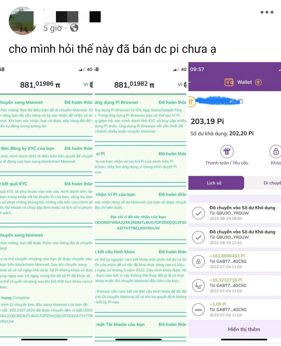 nha-dau-tu-ban-tu