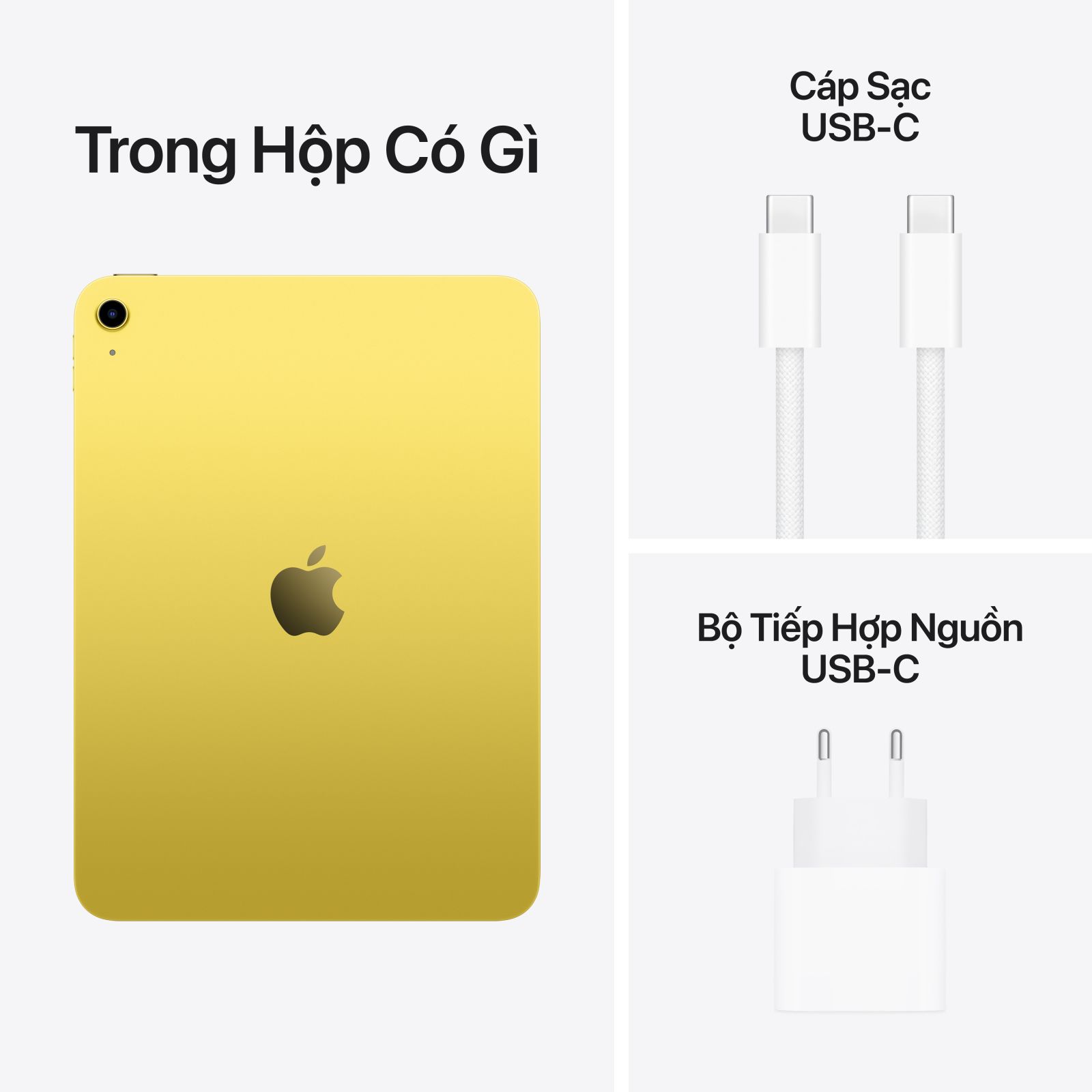 2.10. Cam kết bảo vệ môi trường của iPad 11-inch 2025 (Gen 11)