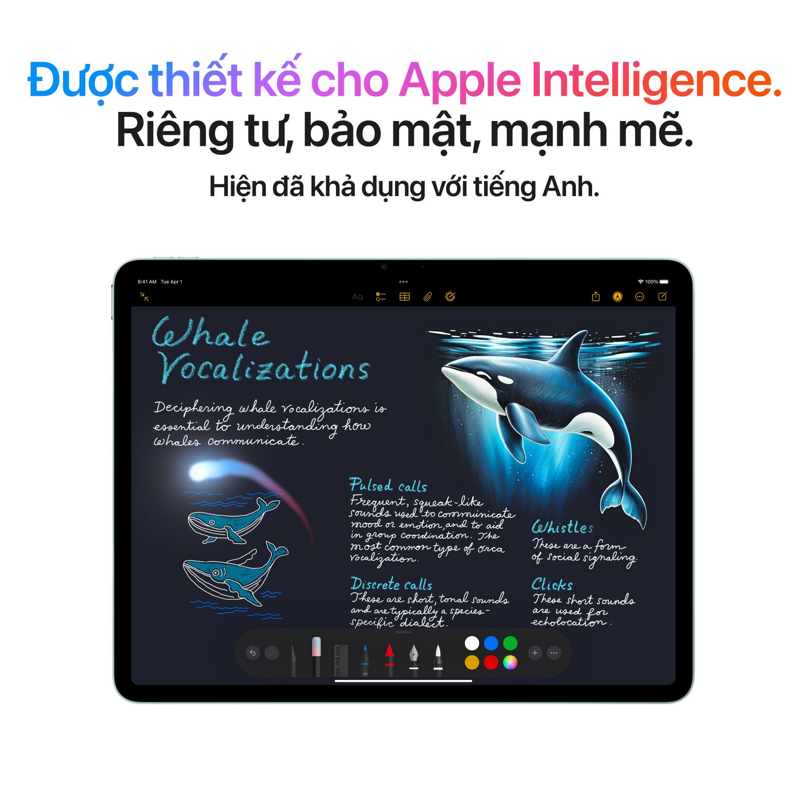 iPad Air 7 M3 2025 13 inch Wifi Cellular 1TB | Chính hãng Apple Việt Nam 8