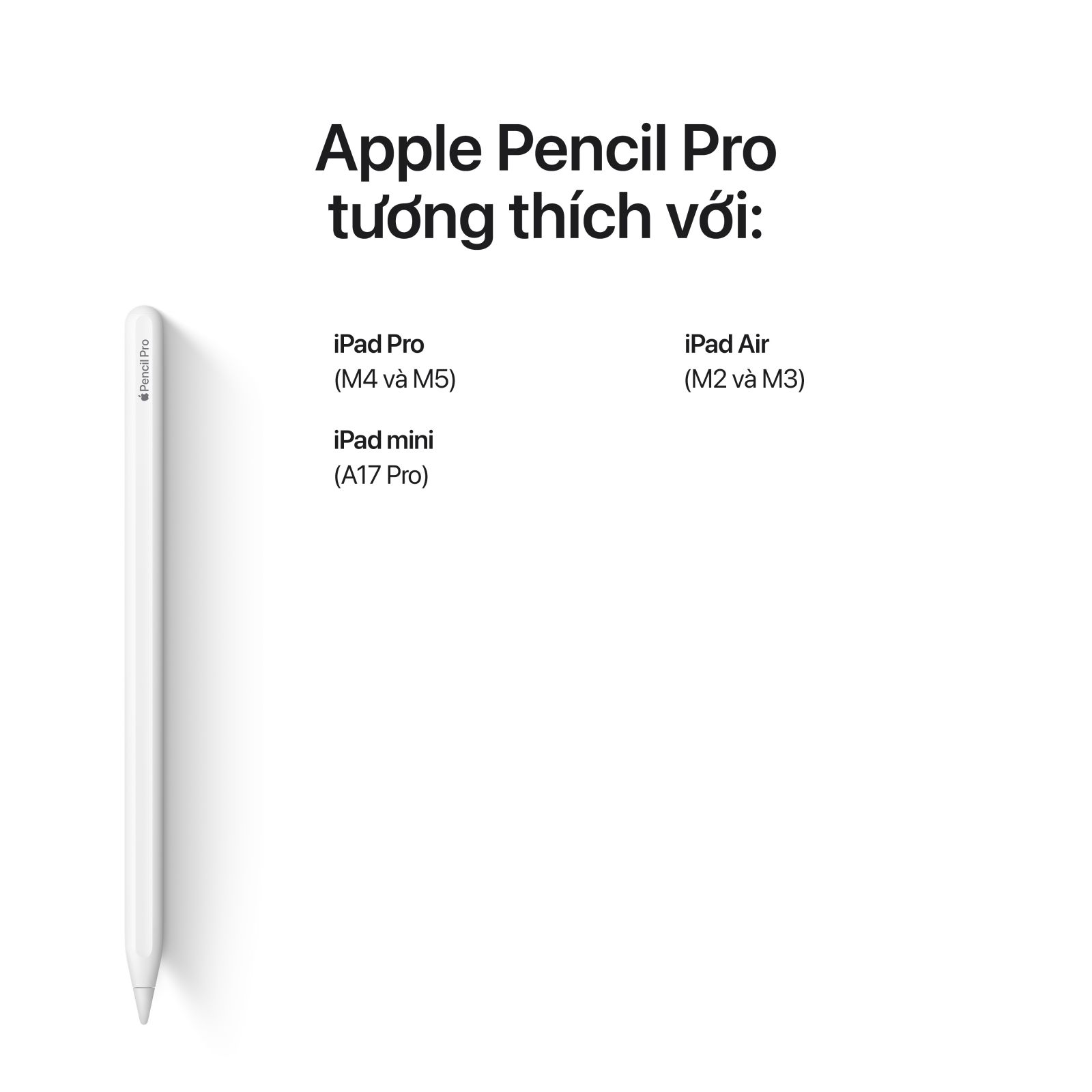 iPad Pro M5 11 inch 2025 Wifi Cellular 2TB