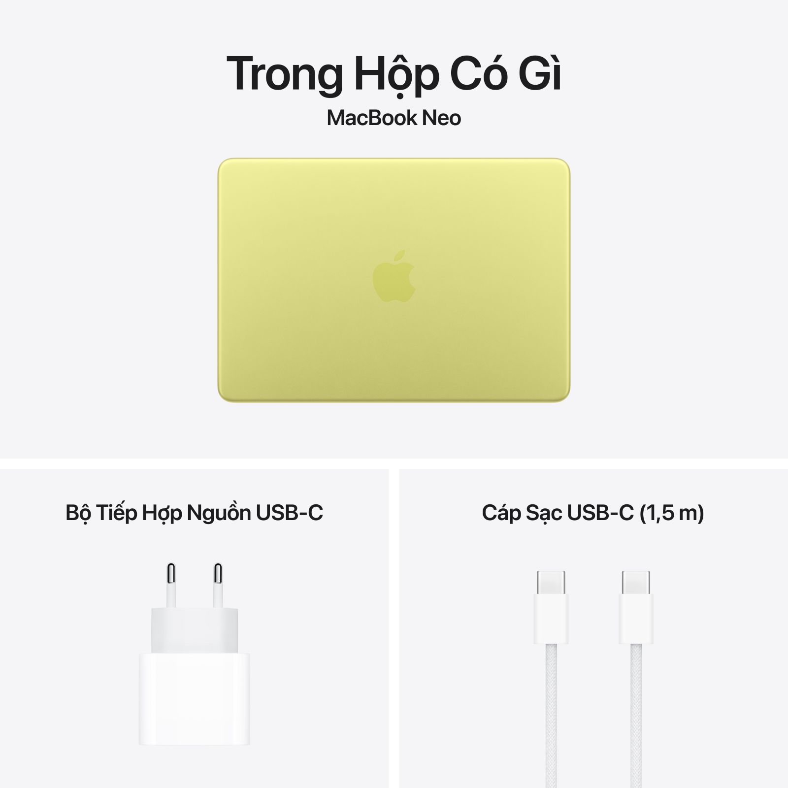 MacBook Neo 13 inch 2026 A18 Pro 6 CPU 5 GPU 8GB/256GB 12