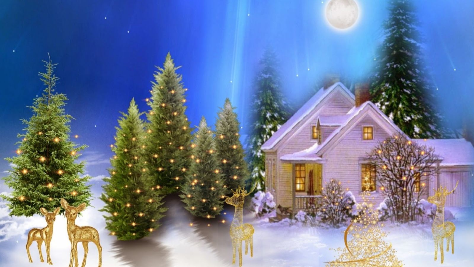 Hình ảnh cây thông Noel mùa Giáng sinh đẹp nhất