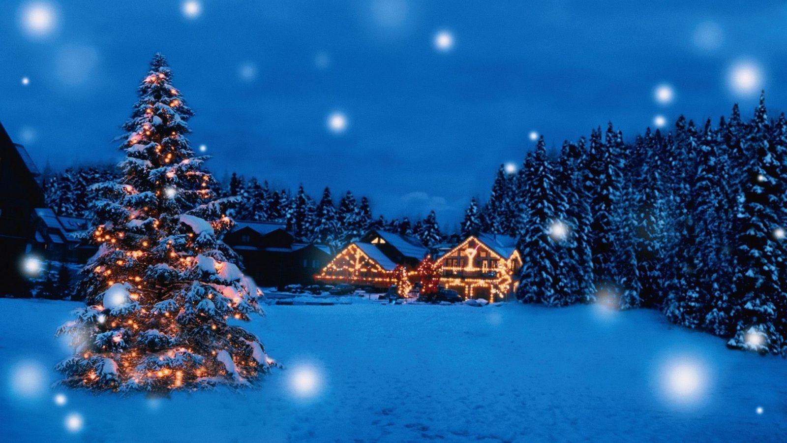Hình ảnh cây thông Noel và ngôi nhà mùa Giáng sinh