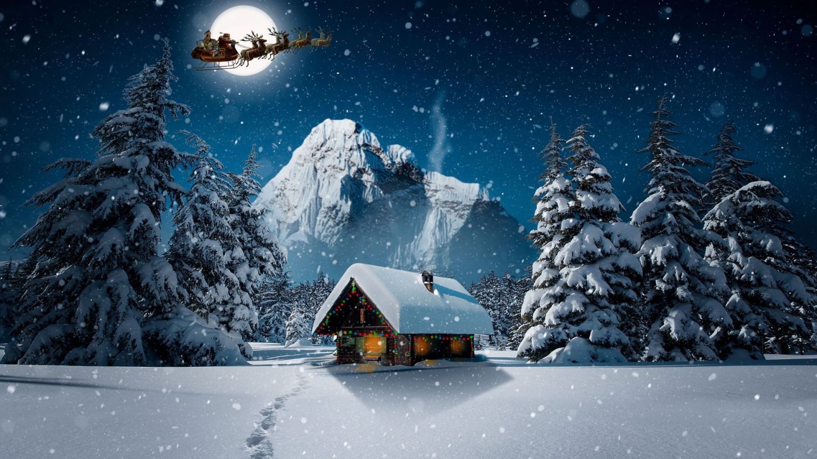 Hình ảnh cây thông Noel mùa Giáng sinh đẹp nhất