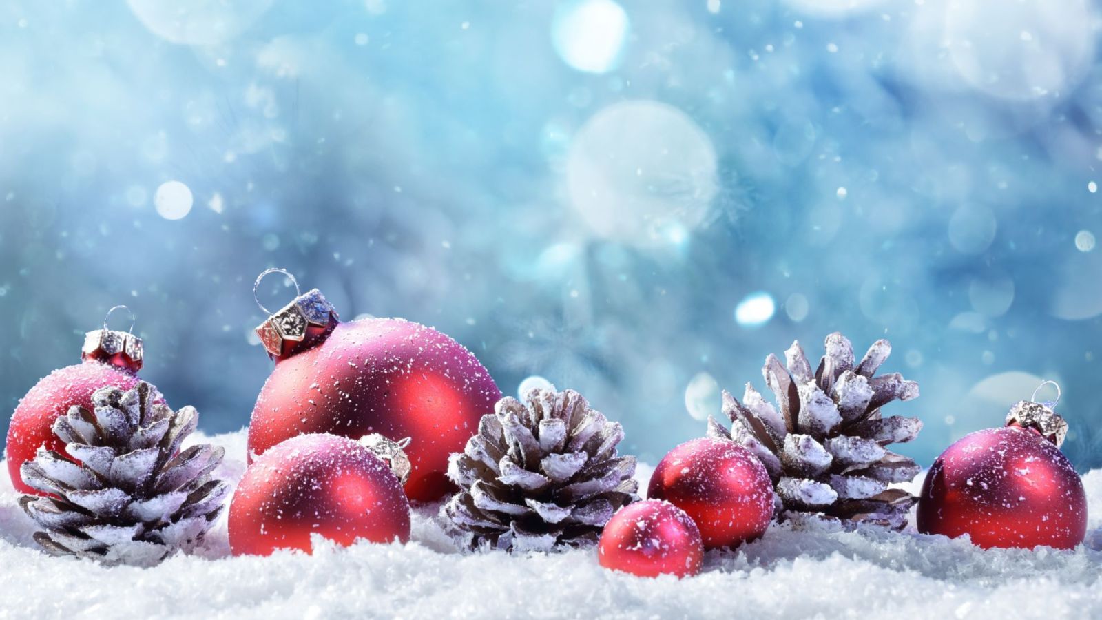 Hình nền Giáng sinh, Noel cute cho máy tính
