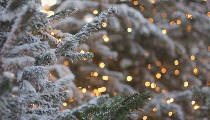 Hình nền giáng sinh cây thông noel cho máy tính
