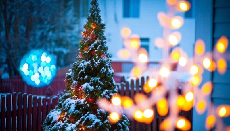 Hình nền giáng sinh cây thông noel cho máy tính