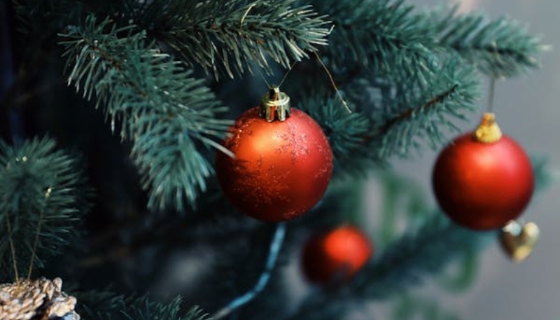 Hình nền giáng sinh cây thông noel cho máy tính