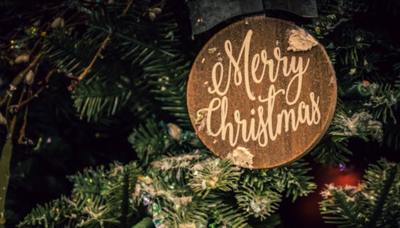 Hình nền giáng sinh cây thông noel cho máy tính