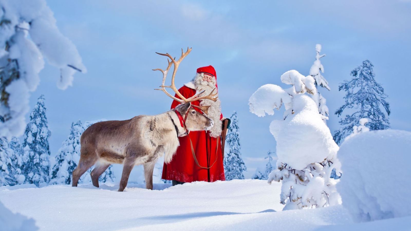 Hình ảnh giáng sinh ông già Noel cưỡi tuần lộc