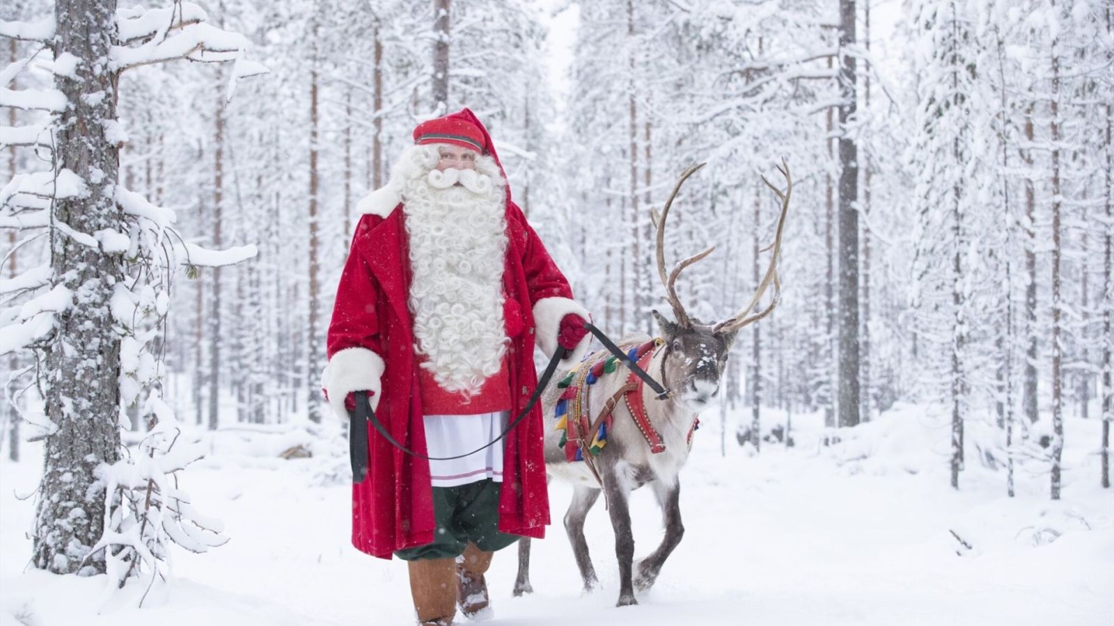 Hình ảnh giáng sinh ông già Noel cưỡi tuần lộc